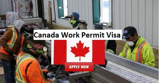 Immigration Work Permit Apply