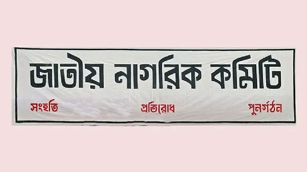 ৩০০ আসনে নির্বাচনের প্রস্তুতি, লক্ষ্য শতাধিক তরুণ নেতা তৈরি।