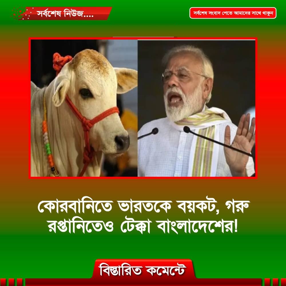 কোরবানিতে ভারতকে বয়কট, গরু রপ্তানিতেও টেক্কা বাংলাদেশের!