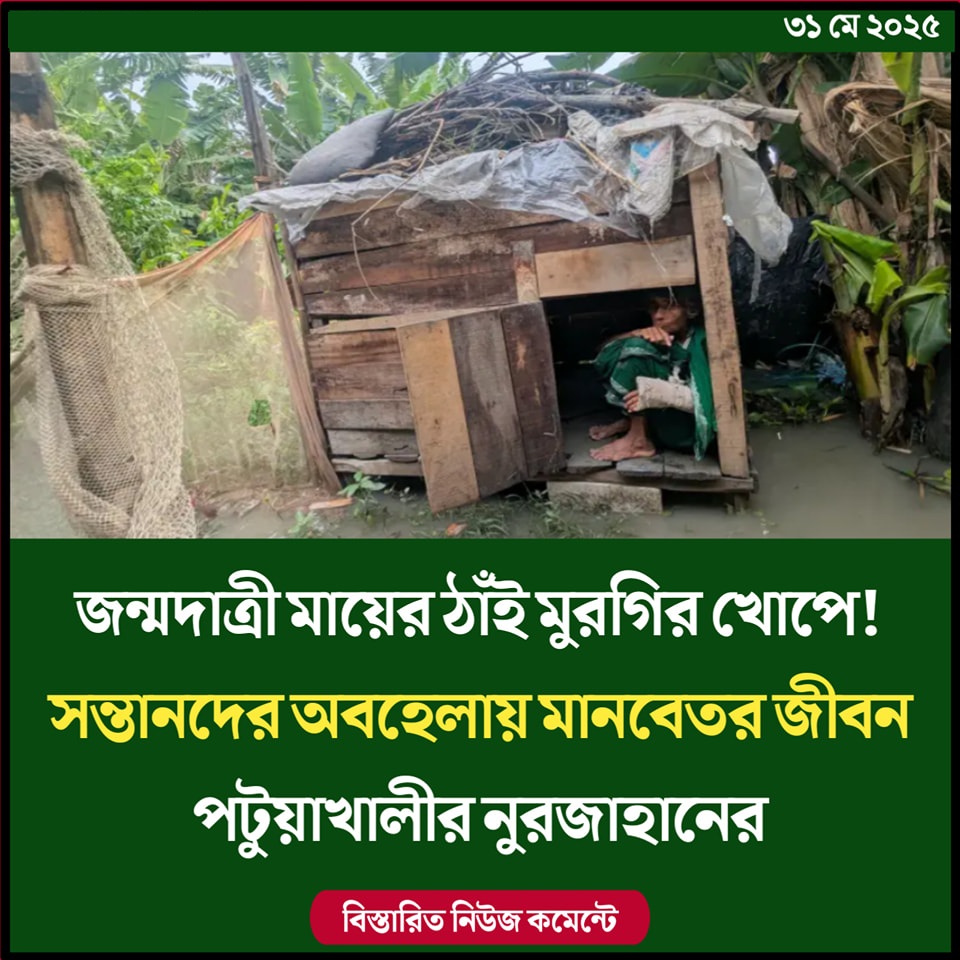 জন্মদাত্রী মায়ের ঠাঁই মুরগির খোপে! সন্তানদের অবহেলায় মানবেতর জীবন পটুয়াখালীর নুরজাহানের
