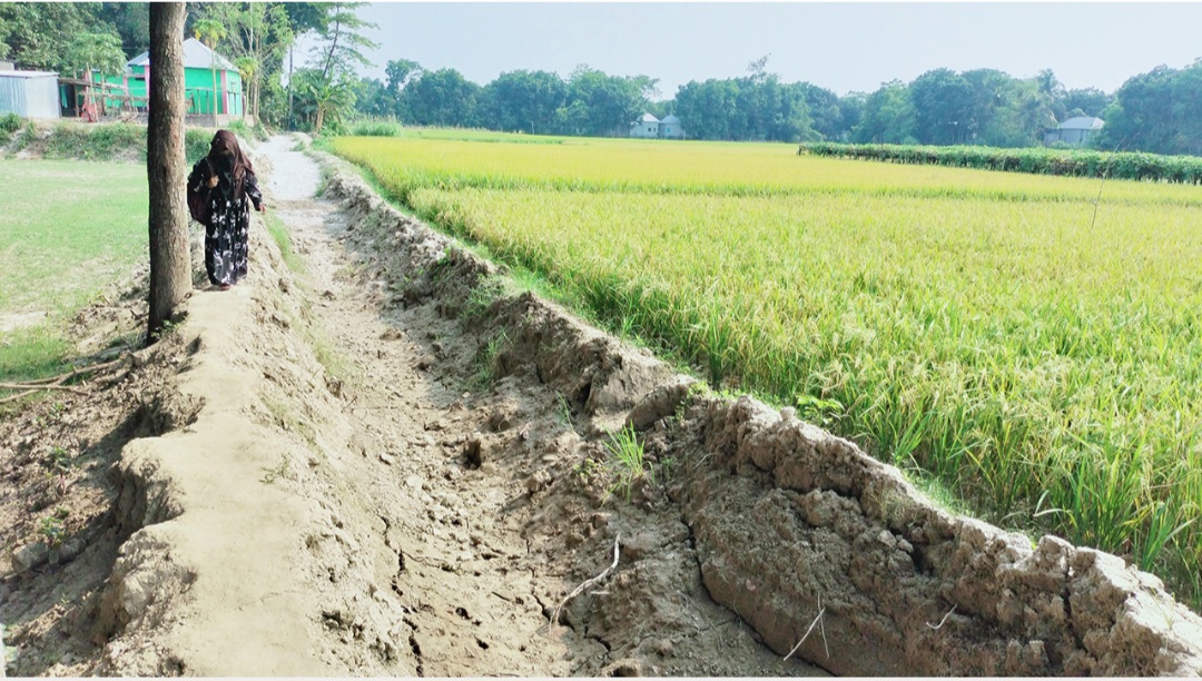 রাস্তার কারণে বিয়ে হয় না যে এলাকার মেয়েদের