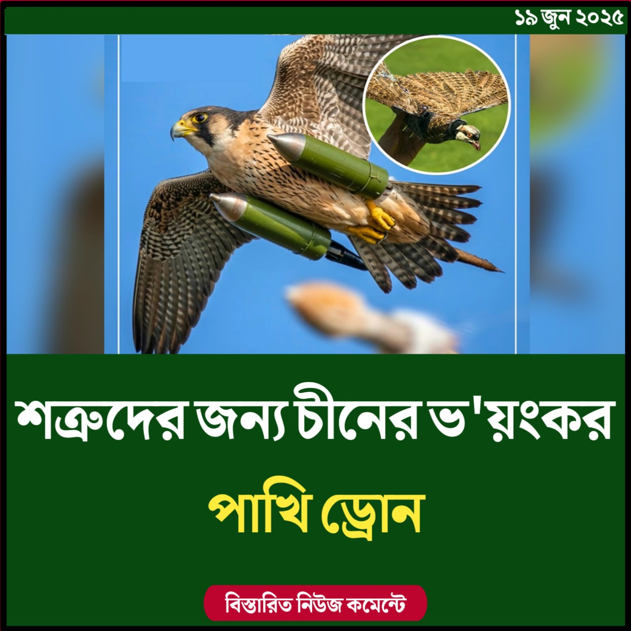 শত্রুদের জন্য চীনের ভয়ংকর ‘পাখি ড্রোন’