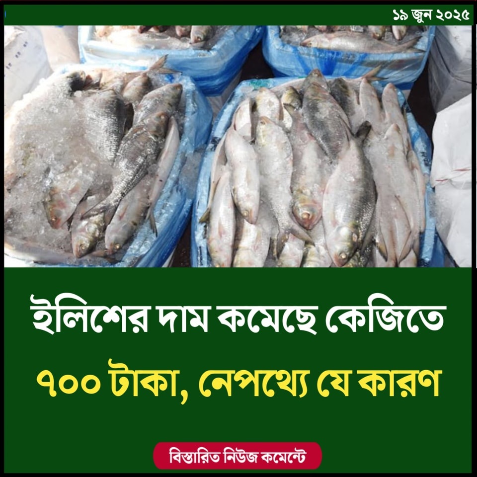 ইলিশের দাম কমেছে কেজিতে ৭০০ টাকা, নেপথ্যে যে কারণ